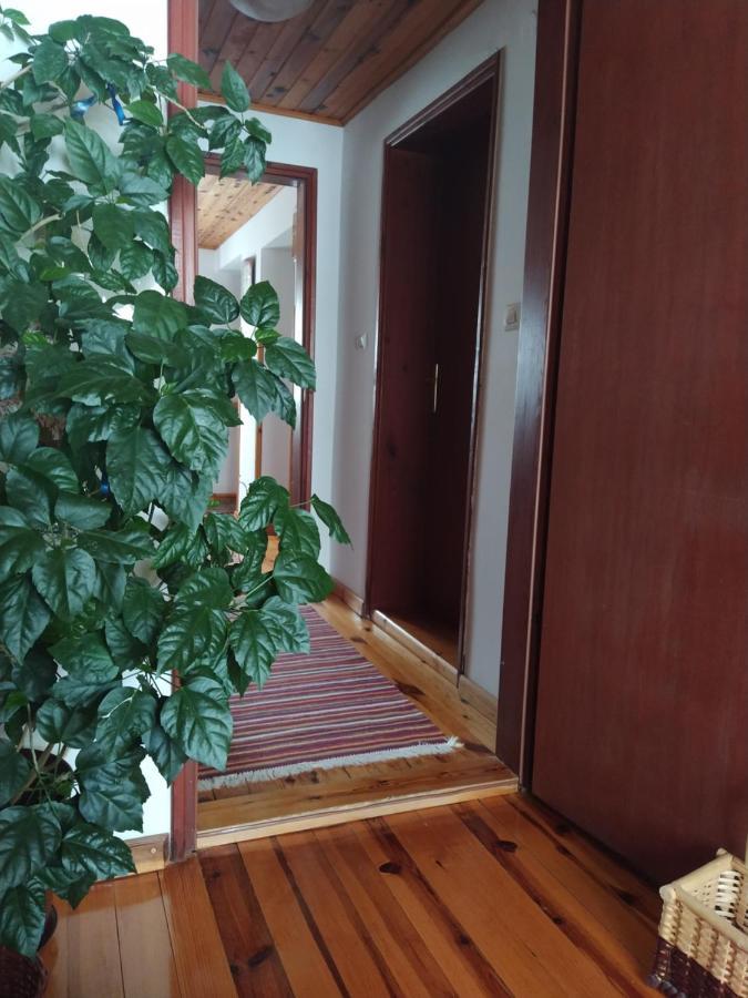 Apartmani Milic Sirogojno المظهر الخارجي الصورة