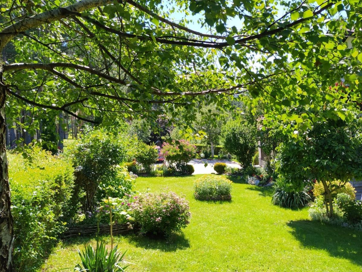 Apartmani Milic Sirogojno المظهر الخارجي الصورة