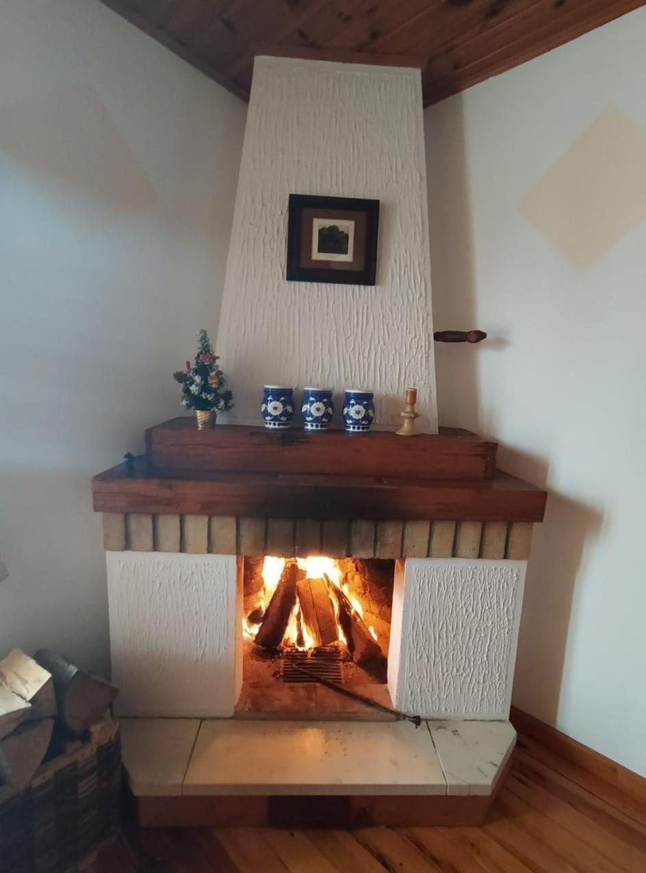 Apartmani Milic Sirogojno الغرفة الصورة
